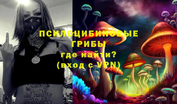 сатива Белоозёрский