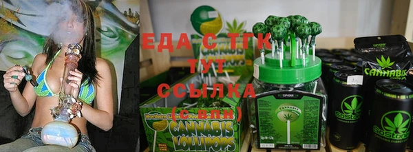 СК Инта