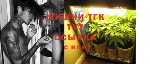 сатива Белоозёрский