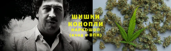 кокаин Белокуриха