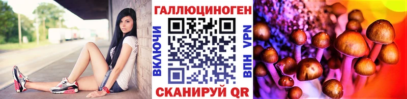 Псилоцибиновые грибы прущие грибы  Кунгур 